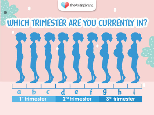 How does your bump look like currently?