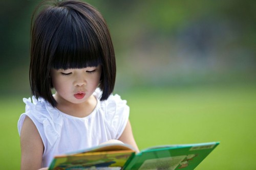  NLB's Book Subscription Plan