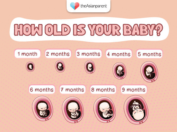 Which stage of pregnancy are you currently in?